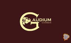 Gaudium3