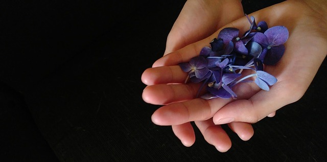 violet-flowers-2091643_640