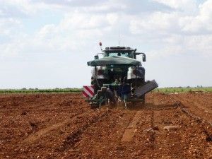 gastrosytyle---pagoguijoso---007